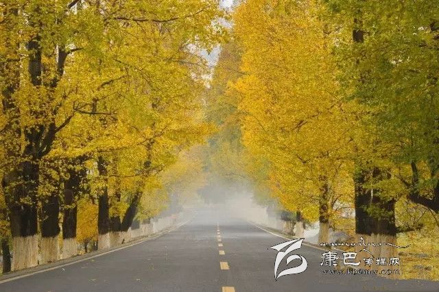 康定新都橋，有一條黃金大道通往夢中的天堂