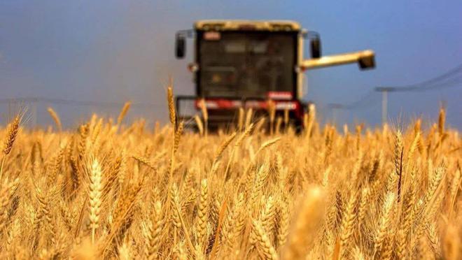 中國(guó)飯碗.jpg 中國(guó)飯碗.jpg