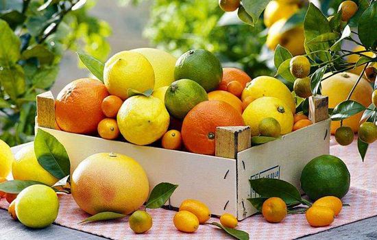 吃橘子上火.jpg 吃橘子上火.jpg