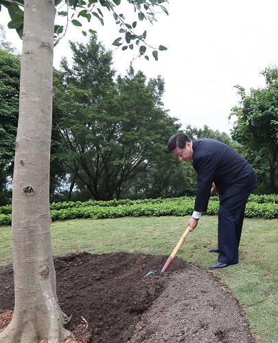 2012年12月7日至11日，習近平在廣東省考察工作。這是8日上午，習近平在深圳蓮花山公園種下一棵高山榕樹。新華社記者 蘭紅光 攝